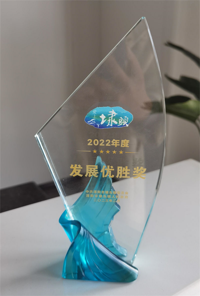 2022年度发展优胜奖